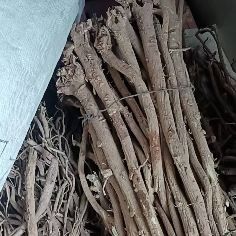 野生黄芪推荐干货黄芪品质好价格优一件代发包邮