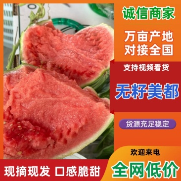 河南西瓜精品无籽美都西瓜基地直发价格便宜来电优惠