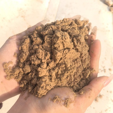 核桃油糠核桃粉饲料用核桃粉核桃油糠