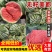 西瓜/河南西瓜/美都无籽西瓜，对接电商市场商超保质保量