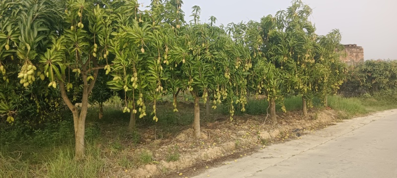 大台小台，产地直销，，一件代发，量大从优