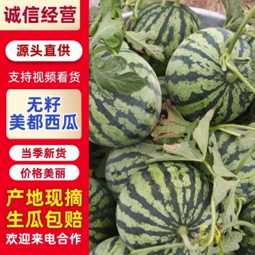 美都西瓜，无籽美都，皮薄肉甜，一手货源，代发全国，