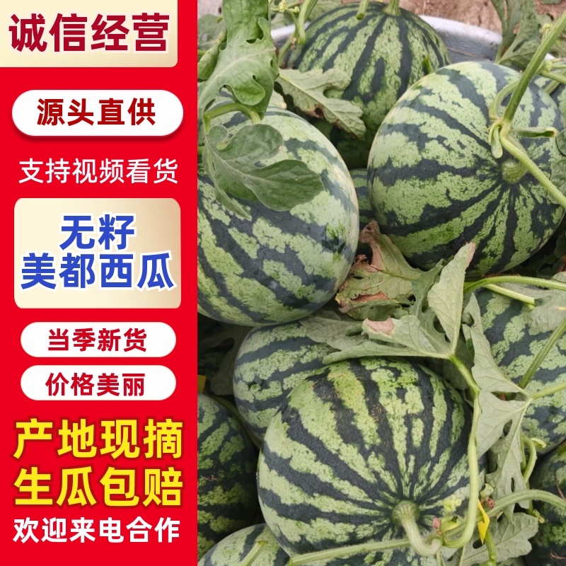 美都西瓜，无籽美都，皮薄肉甜，一手货源，代发全国，