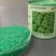 摩尔根808生菜种子全年耐抽苔生菜种籽丸粒化意大利生菜种