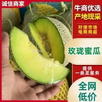 精选玫珑蜜瓜，产地一手货源，量大优惠，对接全国市场