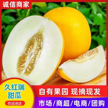 九瑞红大量上市山东产地直发一手货源电商市场商超货