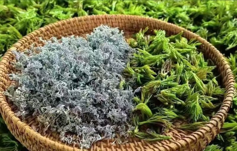 湖北恩施富硒藤茶，10斤起批