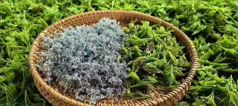 湖北恩施富硒藤茶，10斤起批