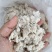 发酵淀粉渣牛，羊，猪鱼鸡鸭鹅喂养