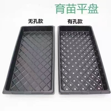 平盘育苗盘托盘穴盘无孔托盘芽菜苗盘育苗盘配套托盘