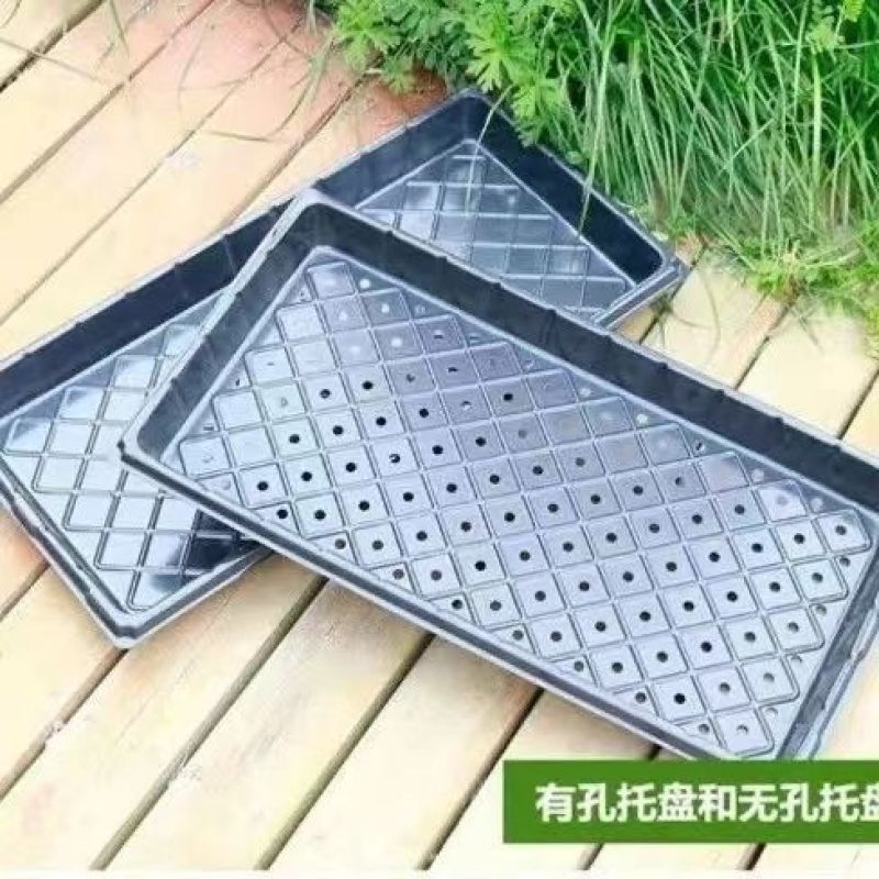 平盘育苗盘托盘穴盘无孔托盘芽菜苗盘育苗盘配套托盘