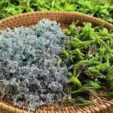 湖北恩施富硒藤茶，10斤起批