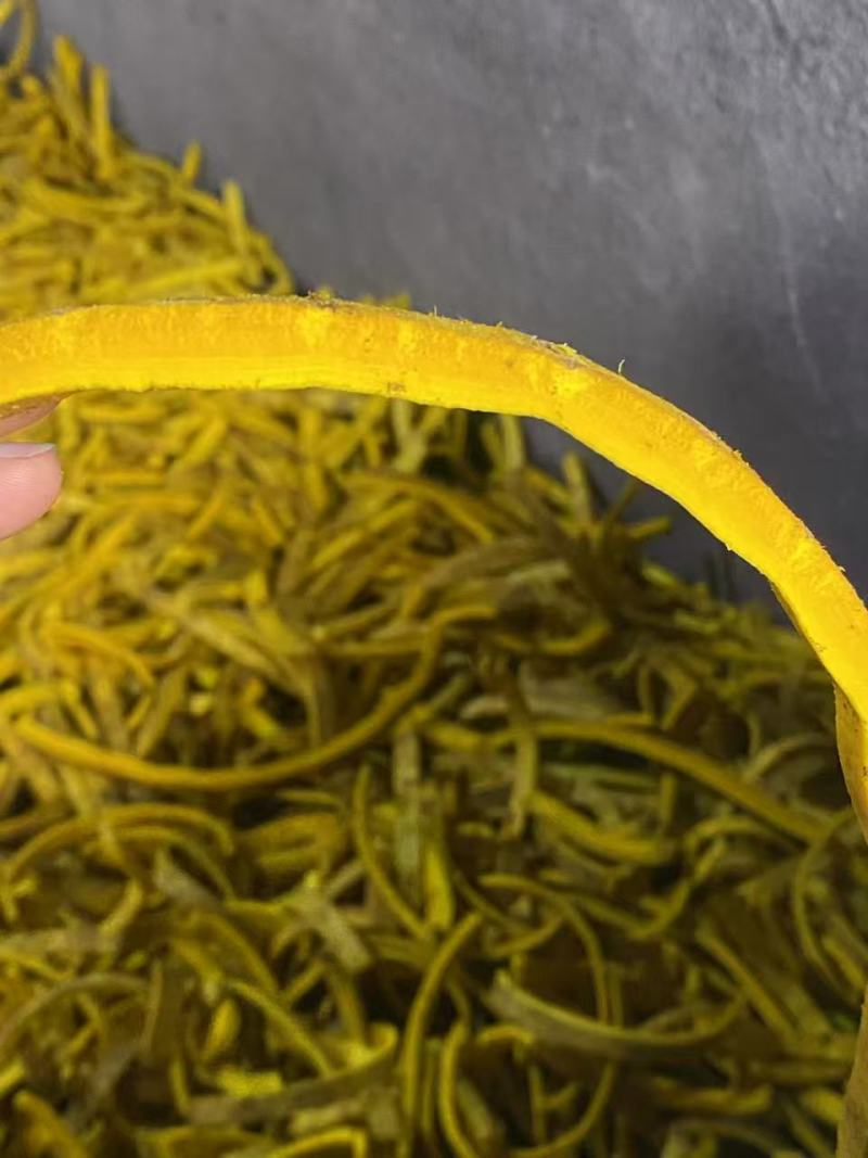 精品黄柏