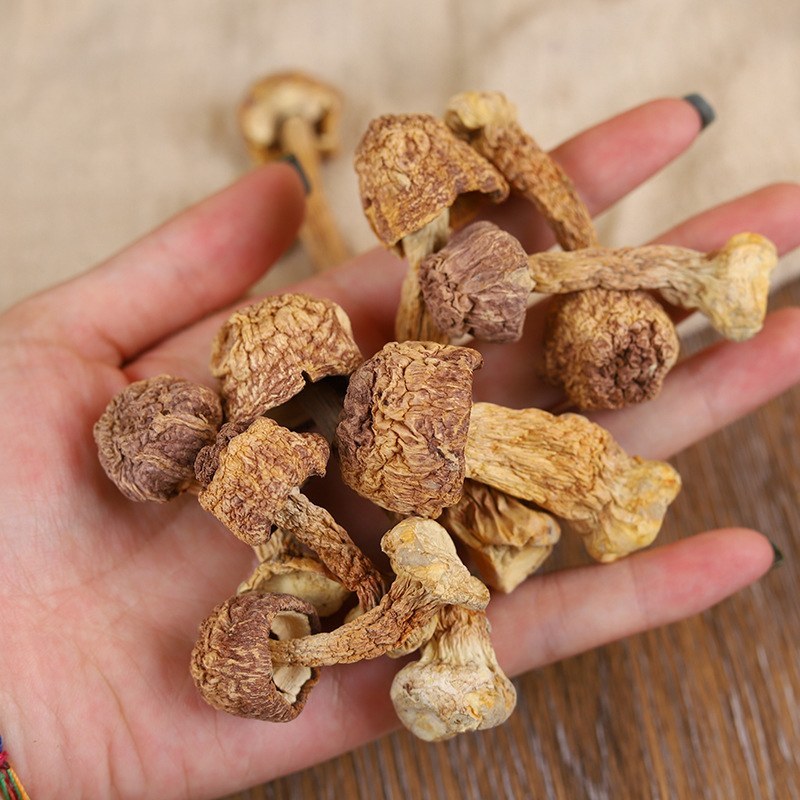 食用菌当季干货姬松茸云南特产鲜甜美味营养菌菇源头厂家批发