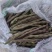 四川精品红四季豆大量上市品质保证量大从优一手货源