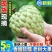 大目释迦果[顺丰包邮]新鲜释迦果林檎番荔枝佛头果