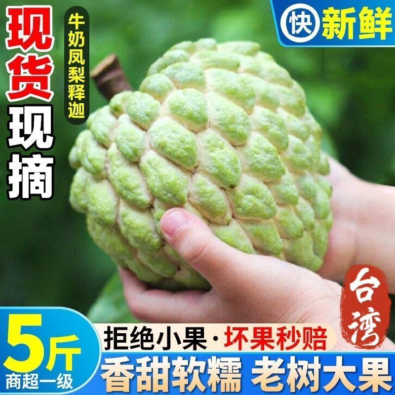 大目释迦果[顺丰包邮]新鲜释迦果林檎番荔枝佛头果
