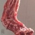 内蒙古羔羊肉卷
