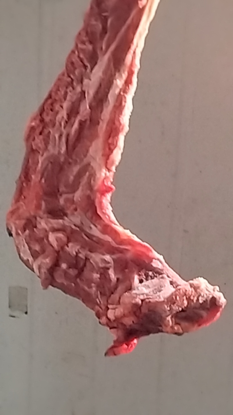 内蒙古羔羊肉卷