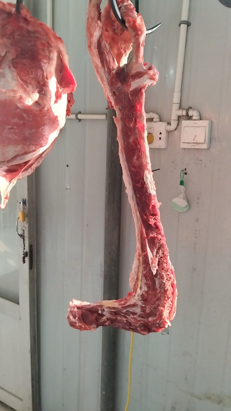 内蒙古羔羊肉卷