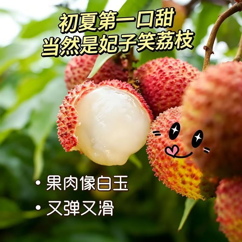 2026妃子笑荔枝海南早熟现货秒发批发代发