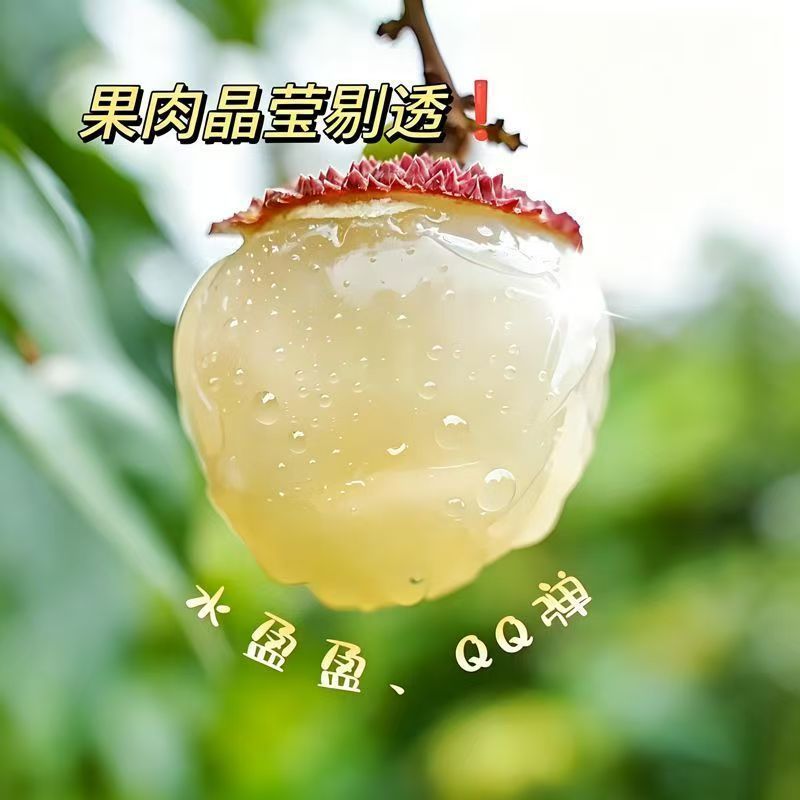 2026妃子笑荔枝海南早熟现货秒发批发代发