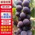 精品江苏巨峰葡萄货源充足量大从优质量保证诚信经营