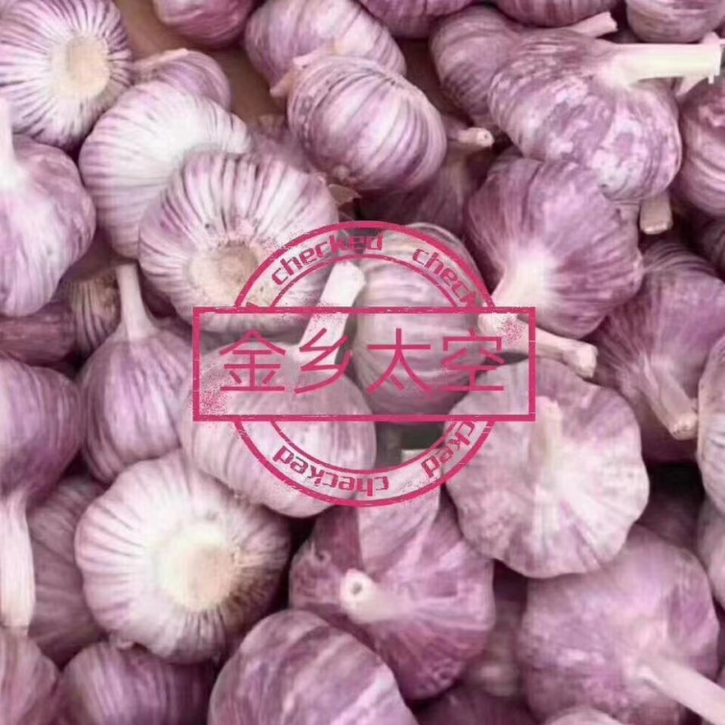 山东金乡大蒜，质量保证，代收代存，大量供应，欢迎实地考察