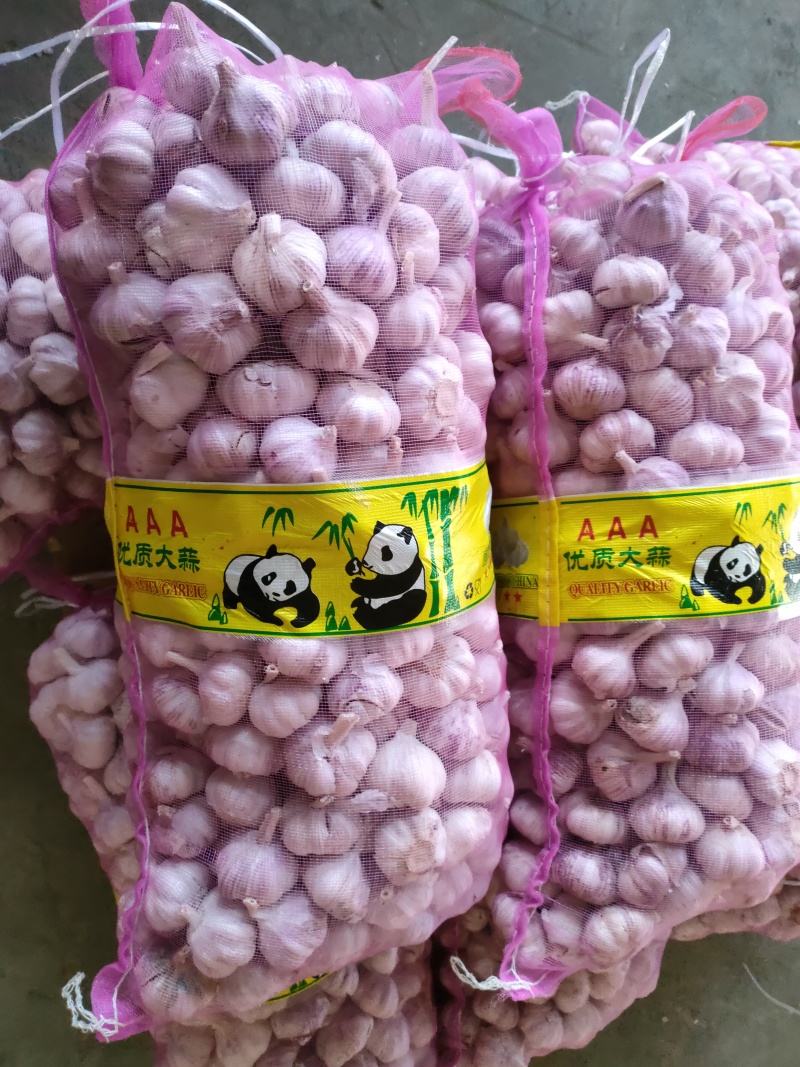 山东金乡大蒜，质量保证，代收代存，大量供应，欢迎实地考察