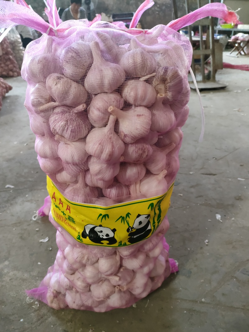 山东金乡大蒜，质量保证，代收代存，大量供应，欢迎实地考察