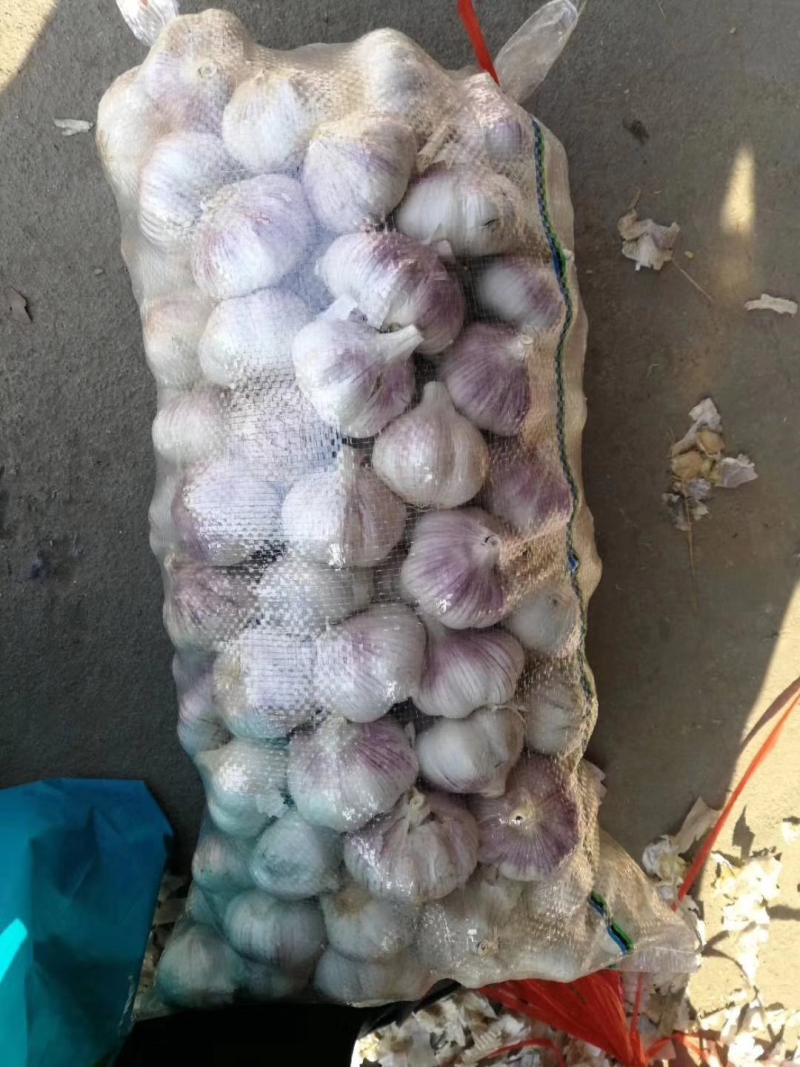山东紫皮太空大蒜，混级统装，专业冷藏，价格优惠，欢迎咨询