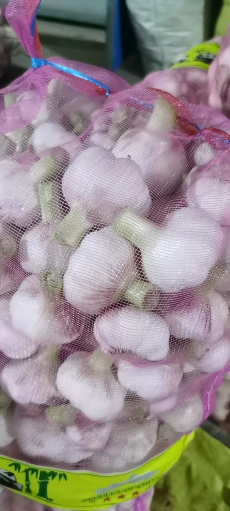 山东紫皮太空大蒜，混级统装，专业冷藏，价格优惠，欢迎咨询