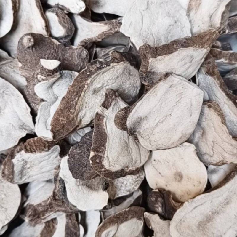 生附片
