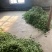 精品四季豆芜湖鸠江区现摘先发/当季新摘翠绿