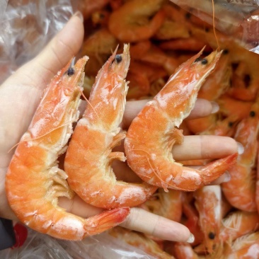 单冻熟虾宴席餐饮