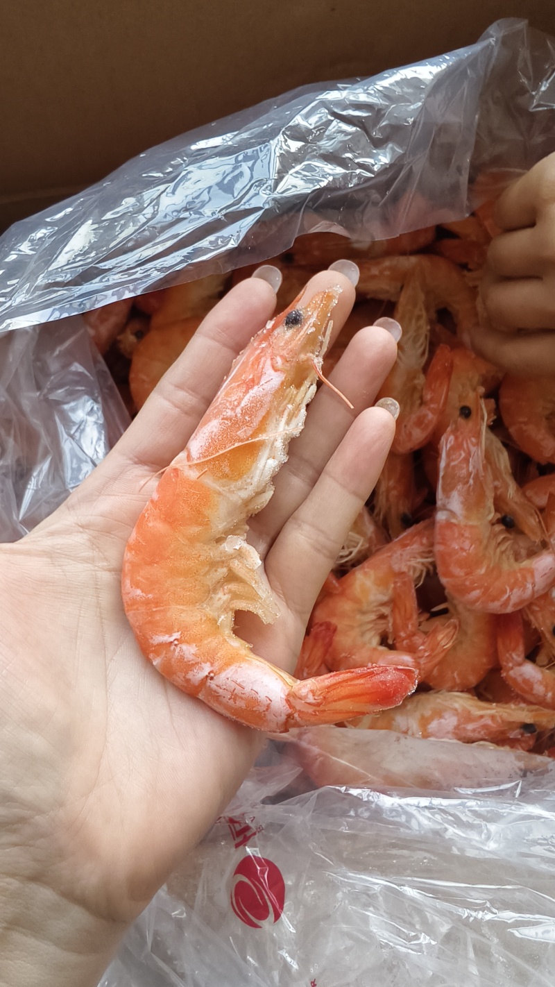 单冻熟虾宴席餐饮