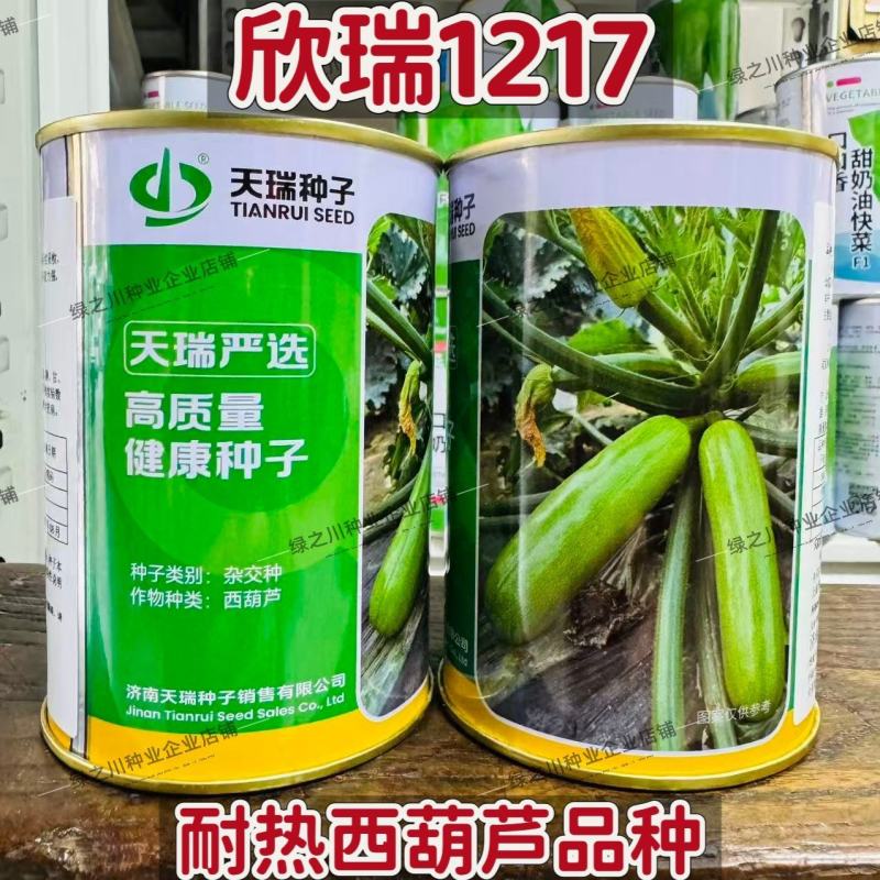 新引进抗病毒西葫芦种子欣瑞1217早熟翠绿色西葫芦瓜种