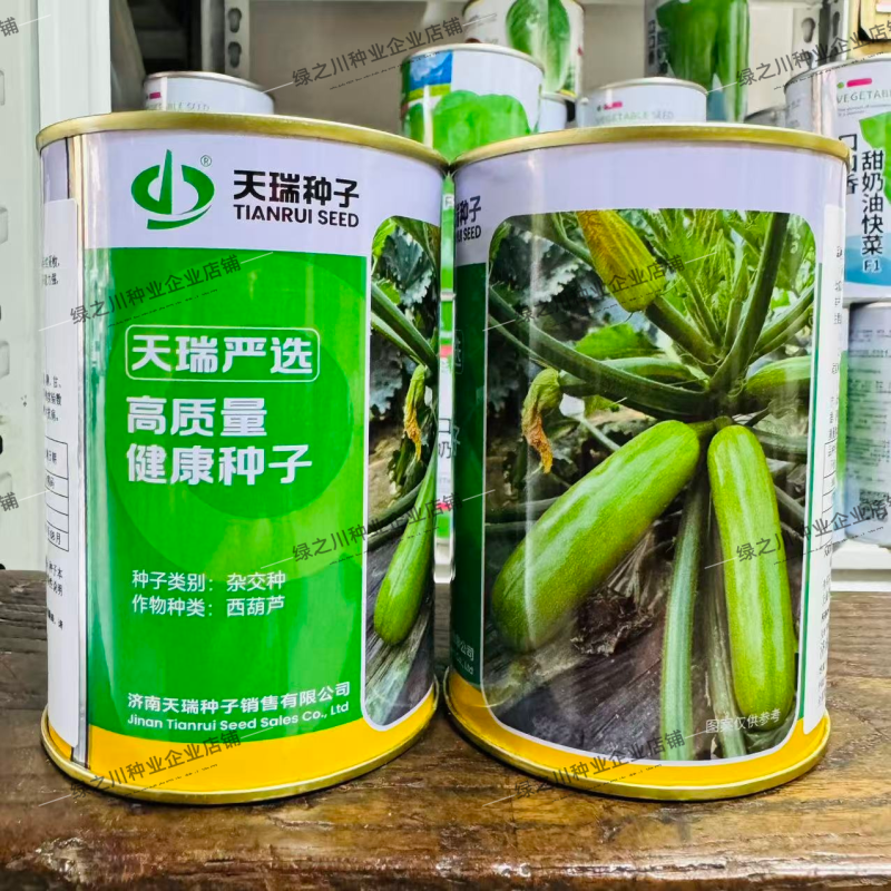 新引进抗病毒西葫芦种子欣瑞1217早熟翠绿色西葫芦瓜种