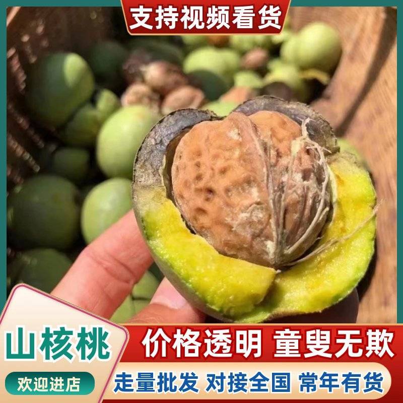 云南文山产区山核桃现货直发，量大从优欢迎咨询
