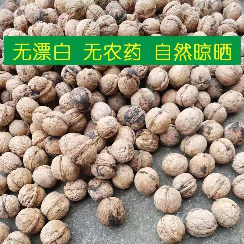 云南文山产区山核桃现货直发，量大从优欢迎咨询