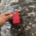 羊肚菌6妹干品出售