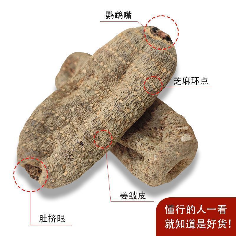 天麻-乌天麻野生乌天麻大量现货量大从优欢迎采购