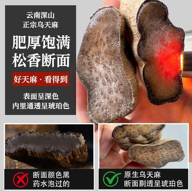 天麻-乌天麻野生乌天麻大量现货量大从优欢迎采购