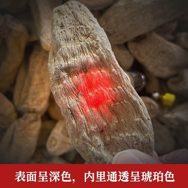 天麻-乌天麻野生乌天麻大量现货量大从优欢迎采购