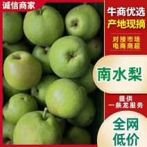 精选南水梨脆甜多汁云南文山产地直销量大从优