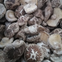 大量批发厚香菇片花菇片干度好量大价格优惠产地直发
