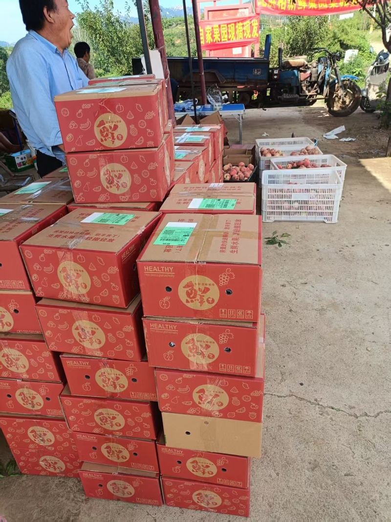 马谷田正宗朱砂红血挑，产地直发，量大价优，欢迎咨询