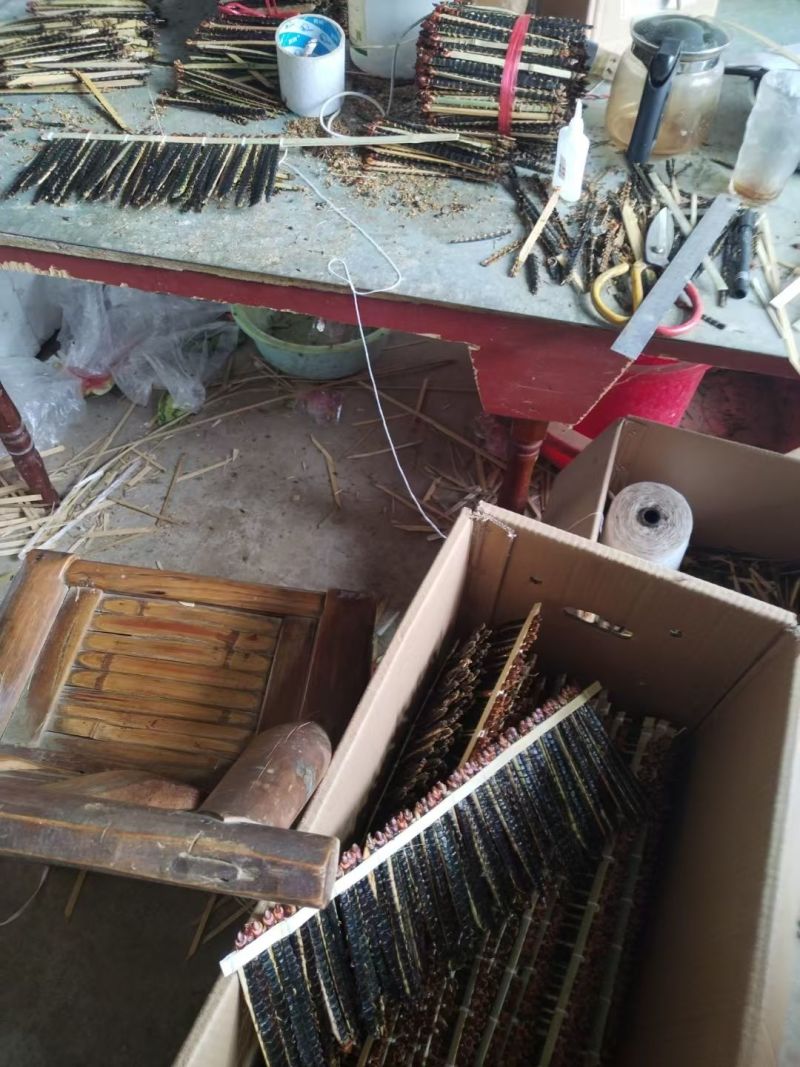 【优选商家】活体蜈蚣干蜈蚣人工挑选品质保证量大从优