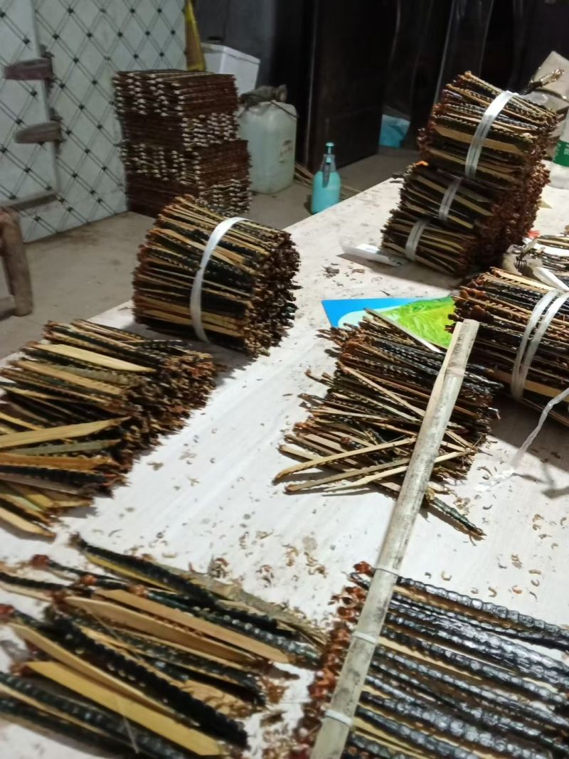 【优选商家】活体蜈蚣干蜈蚣人工挑选品质保证量大从优