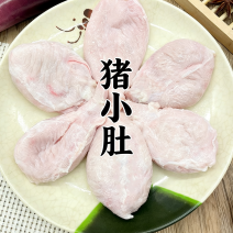 顺平产地直供新鲜猪小肚盐渍猪膀胱全规格批发